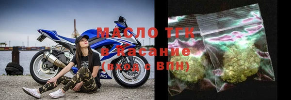 сатива Беломорск