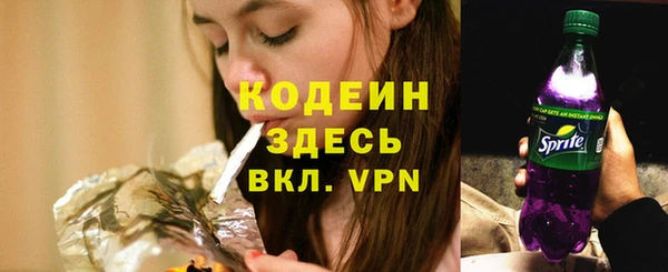 сатива Беломорск