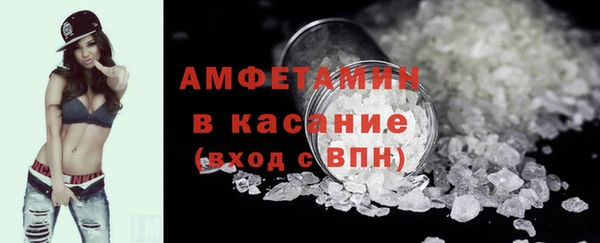 сатива Беломорск