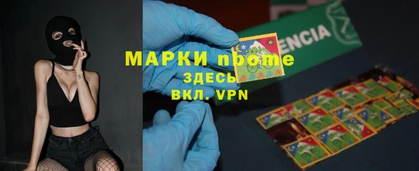 сатива Беломорск