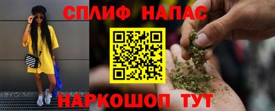 крисы Беслан