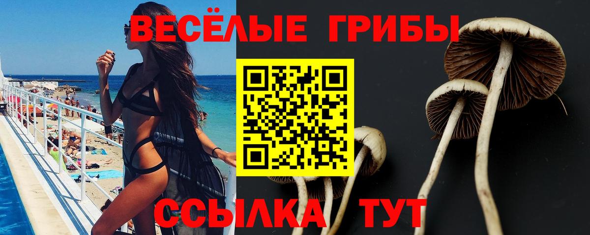 Псилоцибиновые грибы MAGIC MUSHROOMS  Вход с VPN  Калуга 