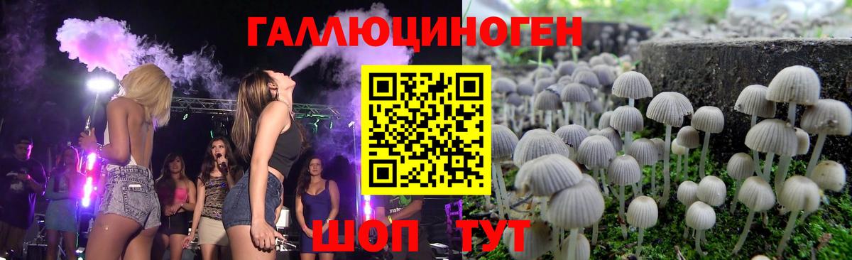 Псилоцибиновые грибы мицелий Калуга
